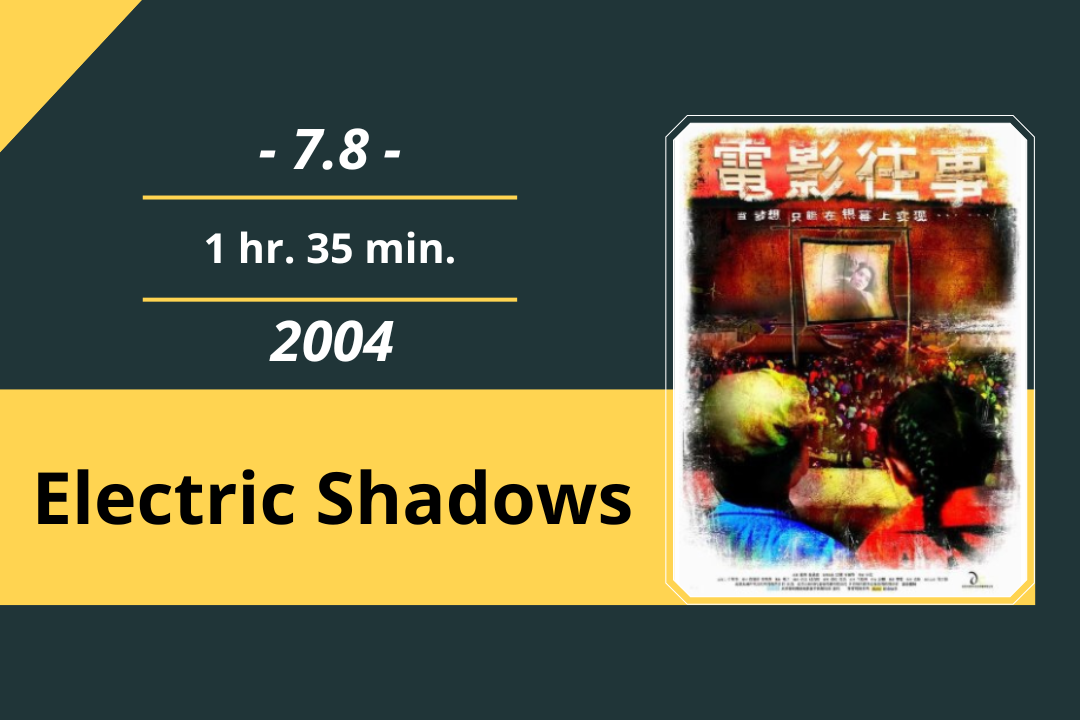 Review Film: Electric Shadows (2004)